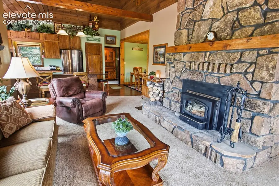 381 Saddleback Creek Drive, Florissant, CO 80816 - #3