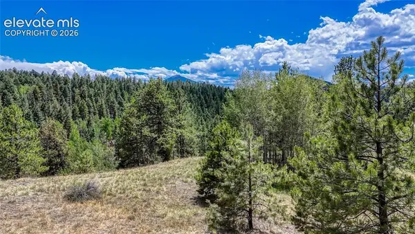 218 Princess Road, Cripple Creek, CO 80813