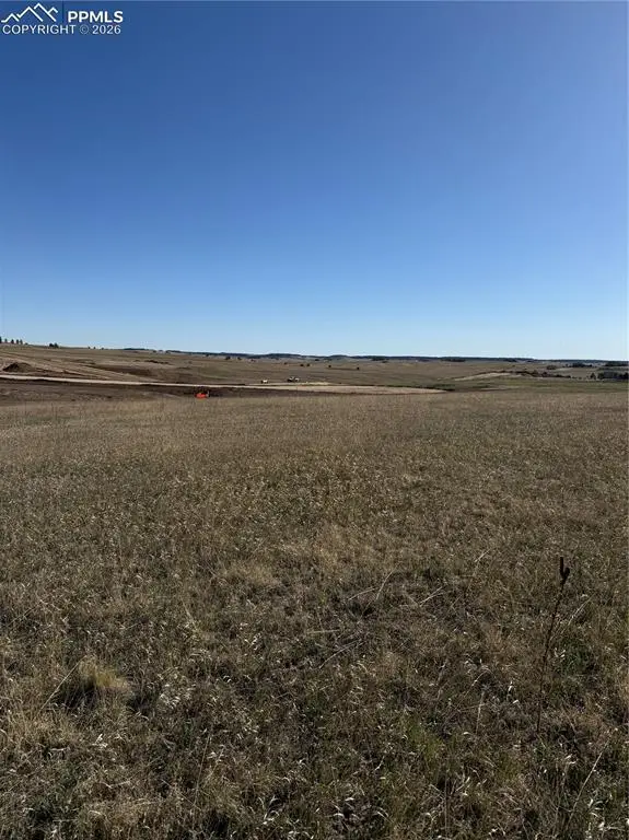 16761 Endless Skye Lane, Colorado Springs, CO 80908 - #2