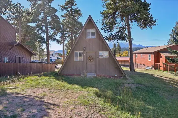 207 E Lake Avenue, Woodland Park, CO 80863