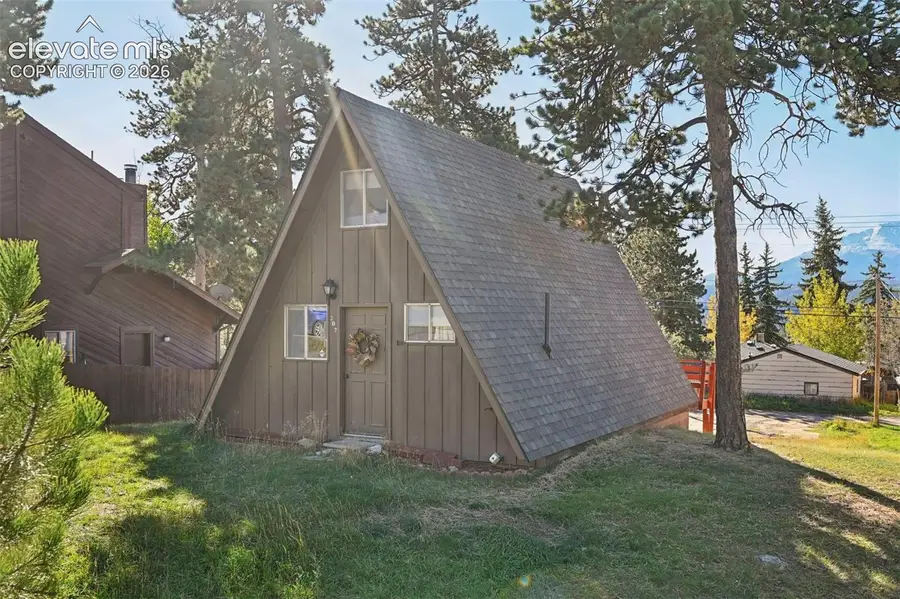 207 E Lake Avenue, Woodland Park, CO 80863 - #2