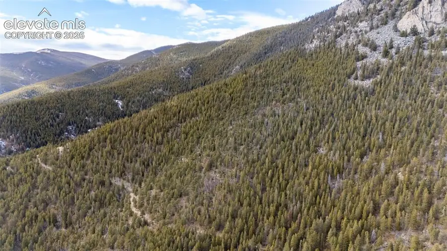Alps Mountain Road, Idaho Springs, CO 80452 - #3