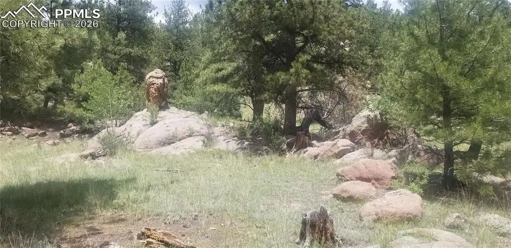 61 Canyon Drive, Florissant, CO 80816 - #1