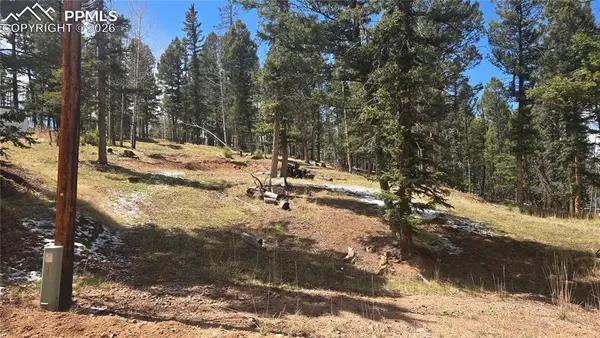 151 Mt Elbert Road, Florissant, CO 80816