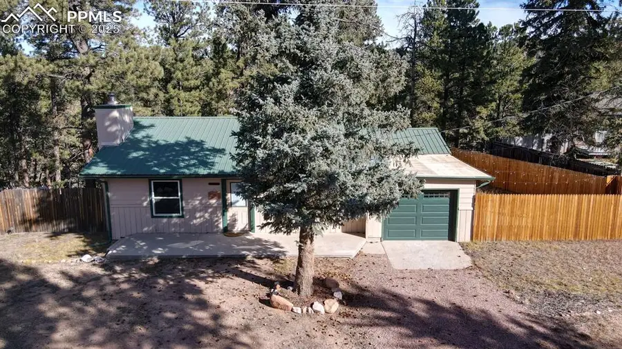 281 Mesa Drive, Florissant, CO 80816 - Image #2