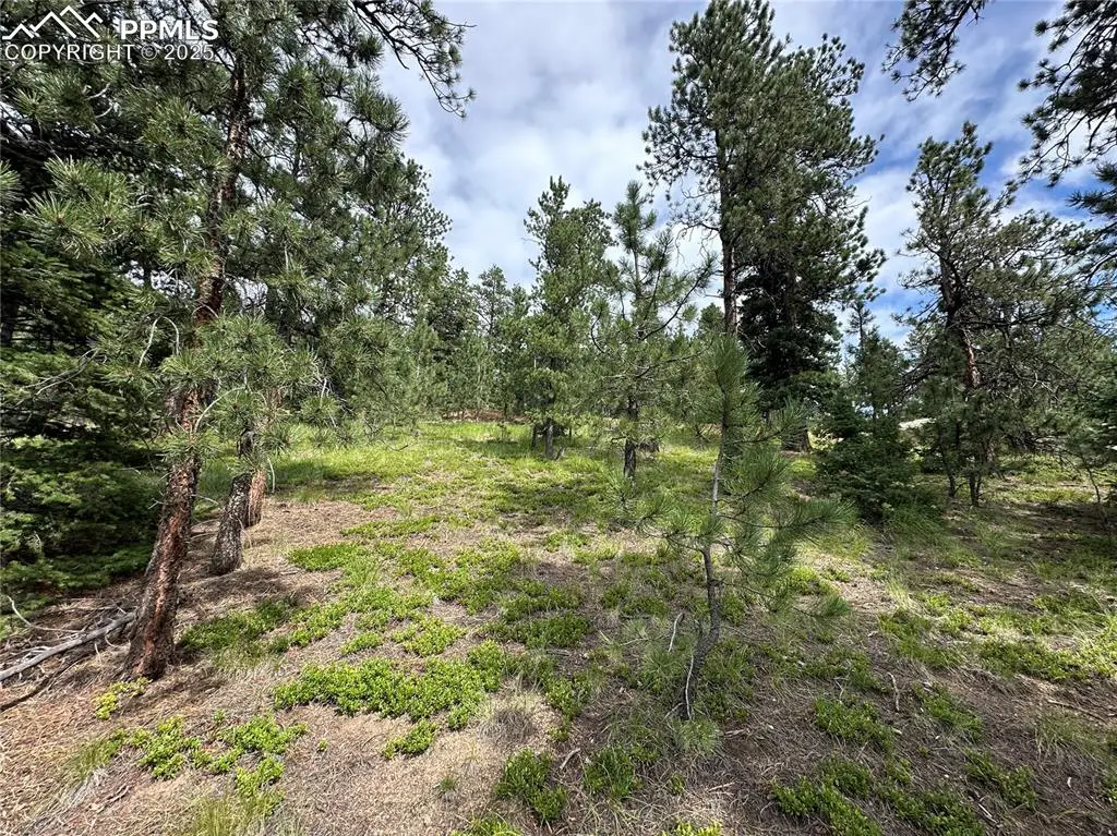 116 Happy Valley Road, Manitou Springs, CO 80829 - Image #1