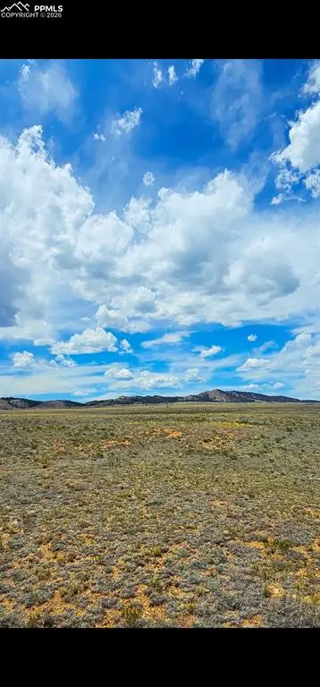 671 S Muley Gulch Drive, Hartsel, CO 80449 - #3