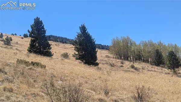 1960 Troy Drive, Cripple Creek, CO 80813