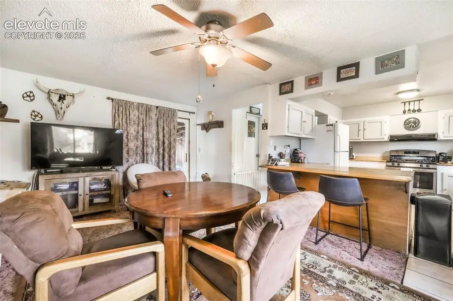127 3rd Street, Monument, CO 80132 - #2