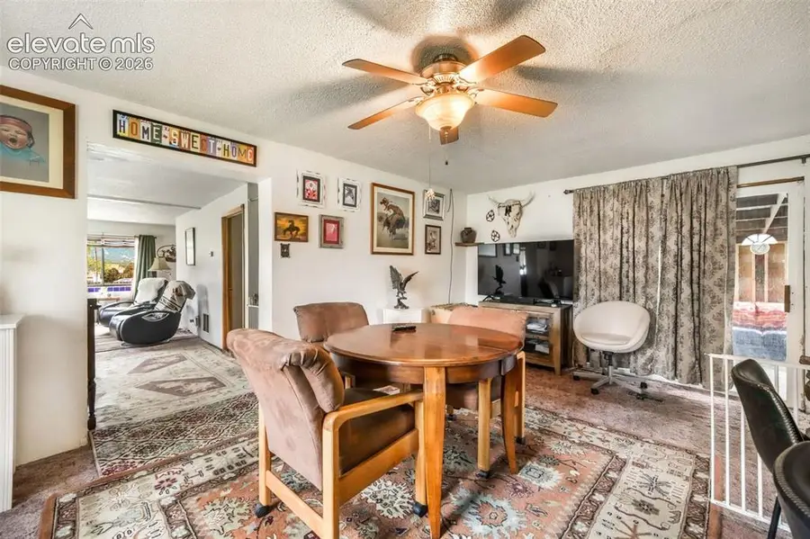 127 3rd Street, Monument, CO 80132 - #3