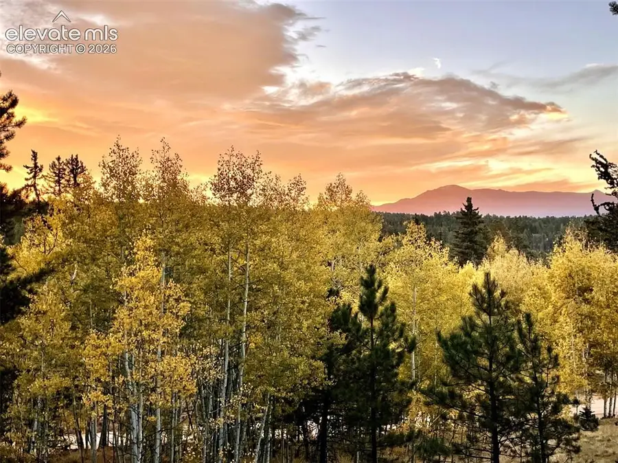 2927 Pathfinder Road, Florissant, CO 80816 - #3