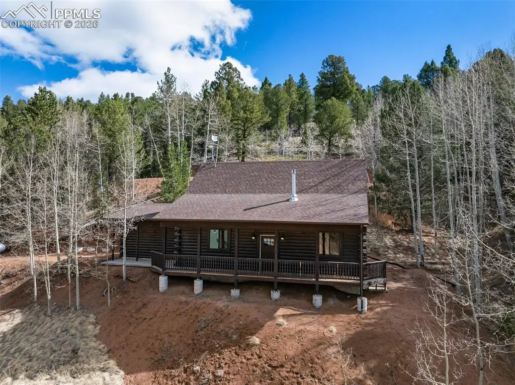 60 Beaver Pond Road, Divide, CO 80814 - #1