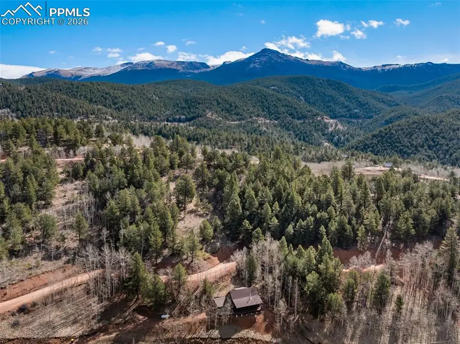60 Beaver Pond Road, Divide, CO 80814 - #2