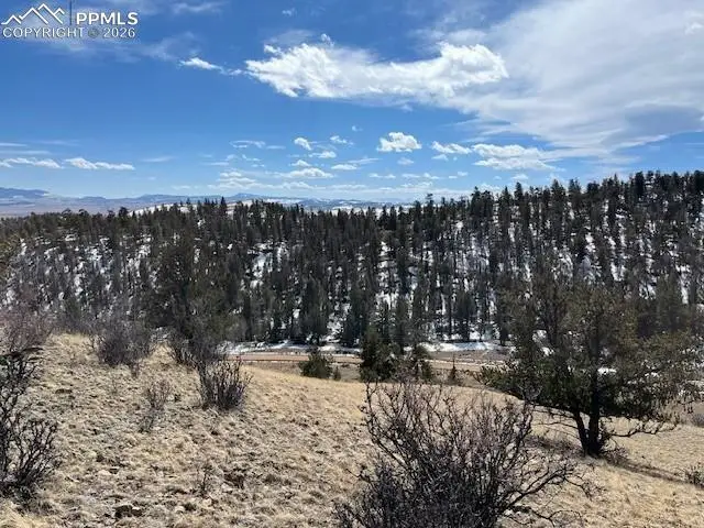 697 Summit Road, Hartsel, CO 80449 - #2