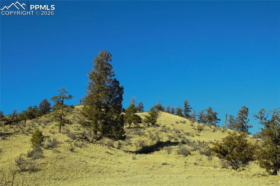 697 Summit Road, Hartsel, CO 80449 - #3