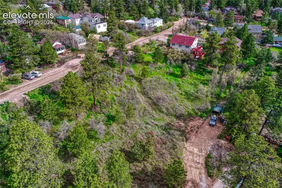 Buena Vista Avenue, Palmer Lake, CO 80133 - #2