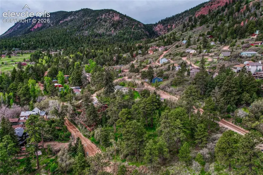 Buena Vista Avenue, Palmer Lake, CO 80133 - #3