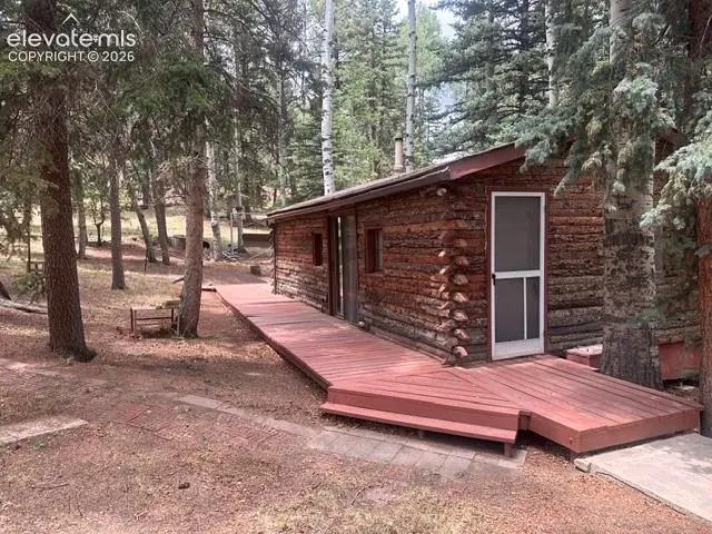 135 Mount Massive Road, Florissant, CO 80816 - #1