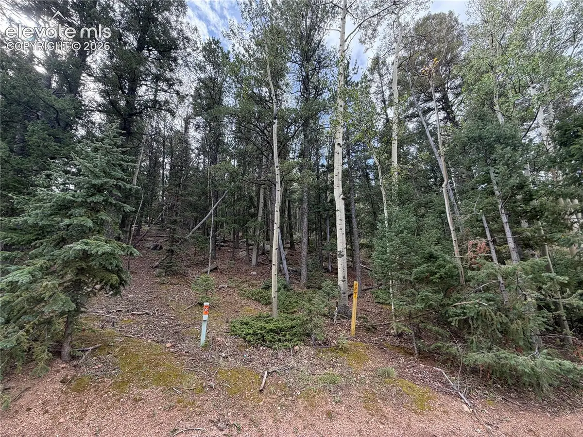 118 Will Stutley Drive, Divide, CO 80814 - #1