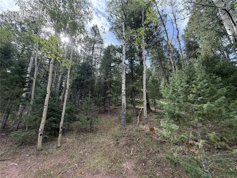 118 Will Stutley Drive, Divide, CO 80814 - #3