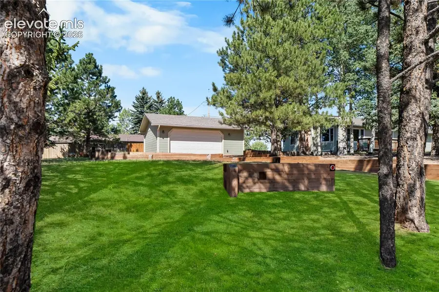 810 Rampart Range Road, Woodland Park, CO 80863 - #3