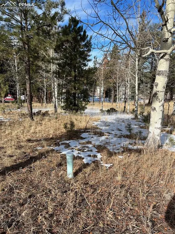 630 Pembrook Drive, Woodland Park, CO 80863 - #2