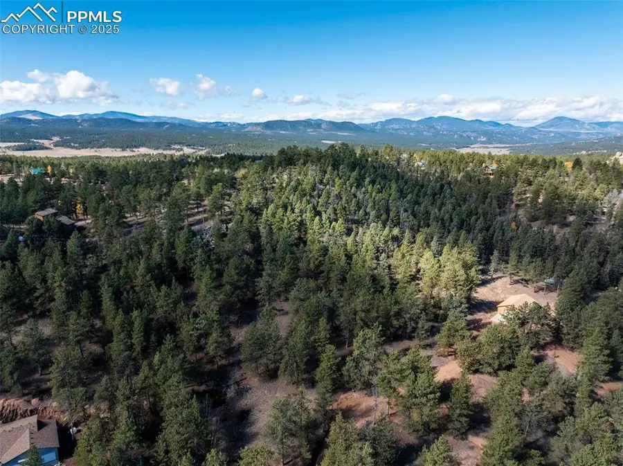 205 Stonehenge Drive, Florissant, CO 80816 - #3