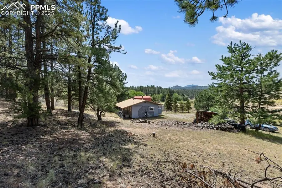 272 Spring Valley Trail, Florissant, CO 80816 - Image #3