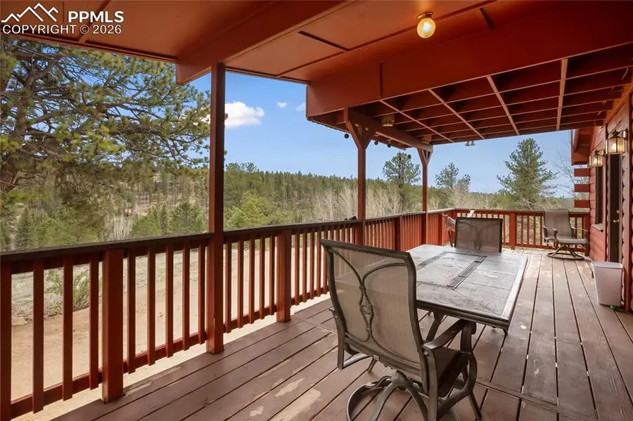 79 Beaver Creek Circle, Florissant, CO 80816 - #3