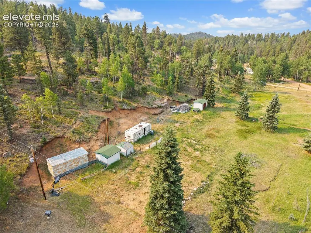 974 W Bison Creek Trail, Divide, CO 80814 - #1