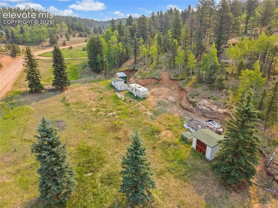 974 W Bison Creek Trail, Divide, CO 80814 - #2