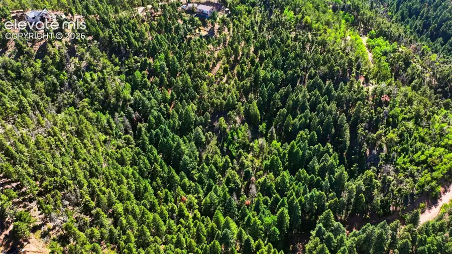13464 S Firedog Way, Larkspur, CO 80118 - #3