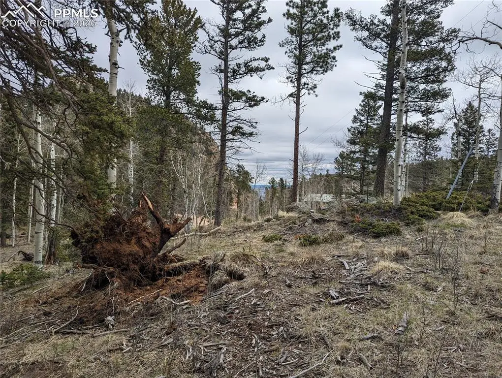 146 Waterfall Loop, Manitou Springs, CO 80829 - #1