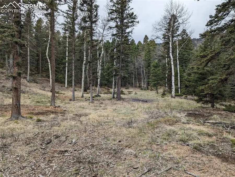 146 Waterfall Loop, Manitou Springs, CO 80829 - #2