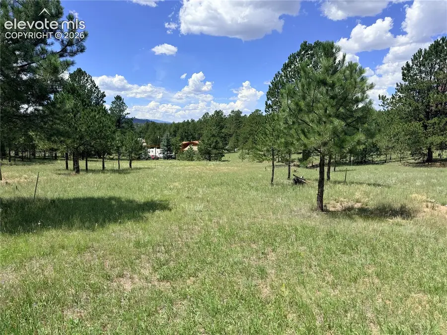 189 Rhyolite Lane, Florissant, CO 80816 - #2