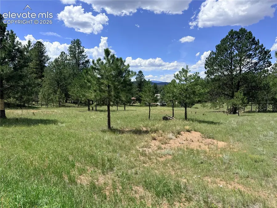 189 Rhyolite Lane, Florissant, CO 80816 - #3