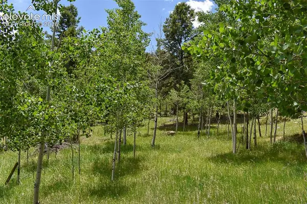 281 Deer Lane, Guffey, CO 80820