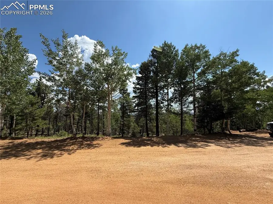 242 Apache Creek Drive, Florissant, CO 80816 - #2