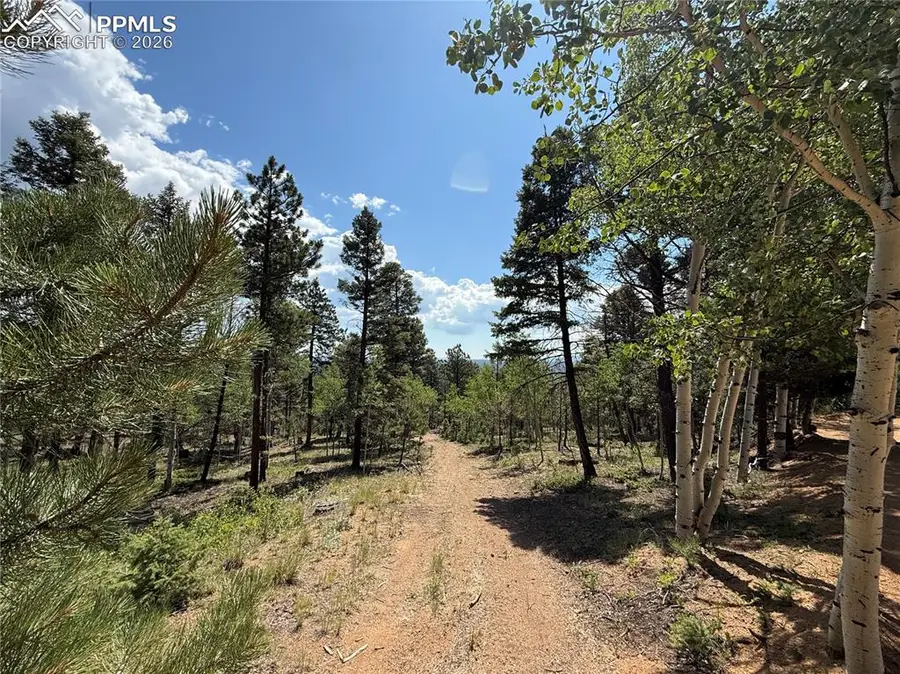 242 Apache Creek Drive, Florissant, CO 80816 - #3