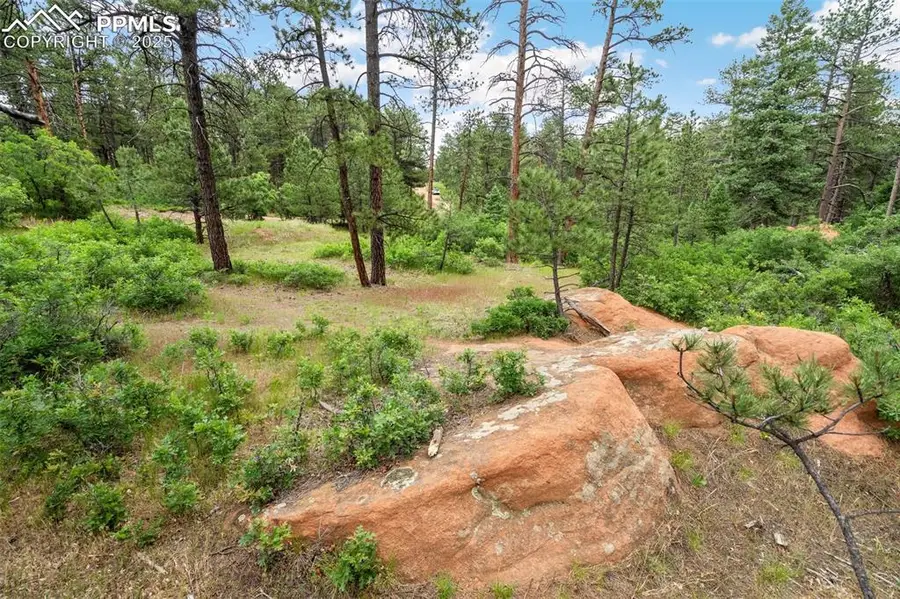 4580 Delaware Drive, Larkspur, CO 80118 - Image #3