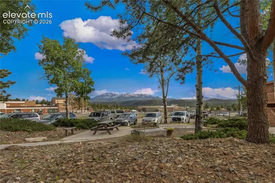 401 Forest Edge Road #A1, Woodland Park, CO 80863 - #3