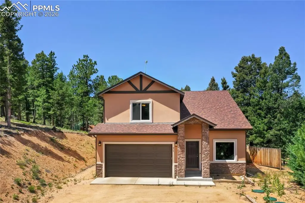 71 Mt Elbert Drive, Florissant, CO 80816 - #1