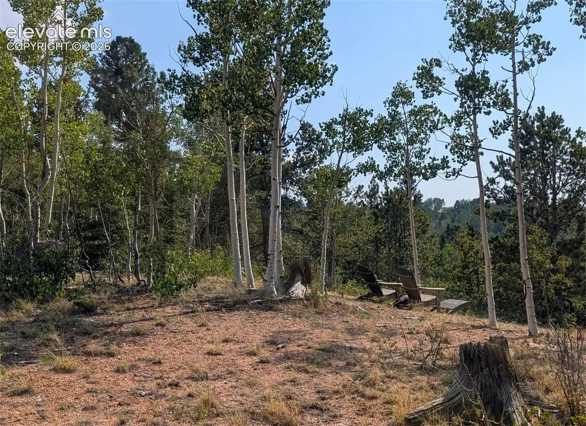 Fairview Drive, Cripple Creek, CO 80813 - #1