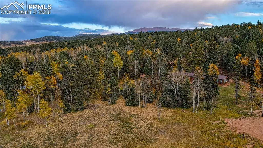 166 Denwood Drive, Florissant, CO 80816 - #1