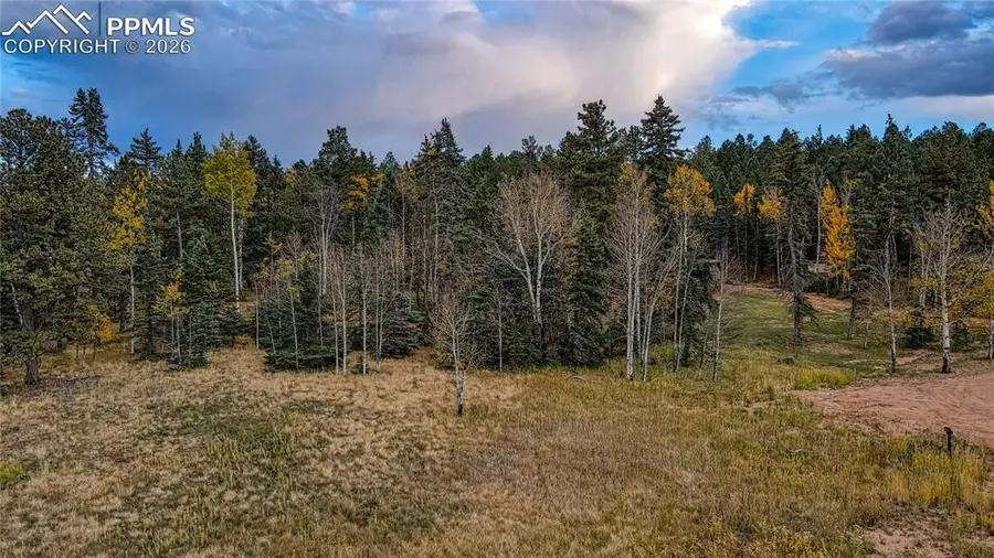 166 Denwood Drive, Florissant, CO 80816 - #2