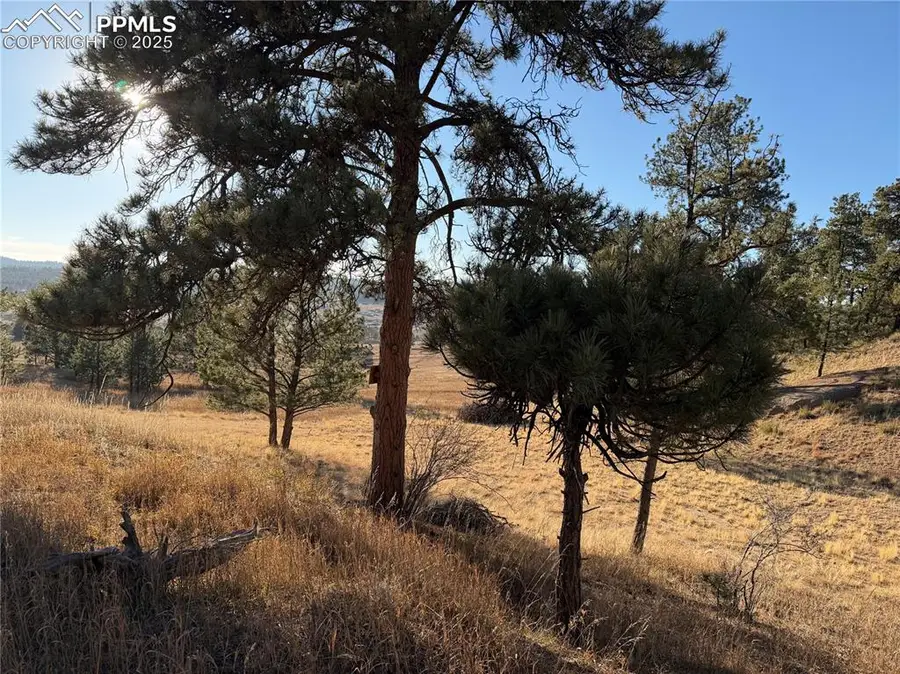71 Elkhorn Circle, Florissant, CO 80816 - #3