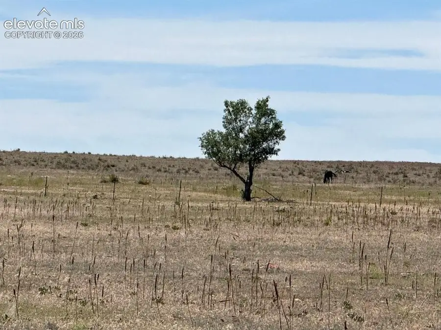 40495 Hoot Owl Road, Ramah, CO 80832 - #2