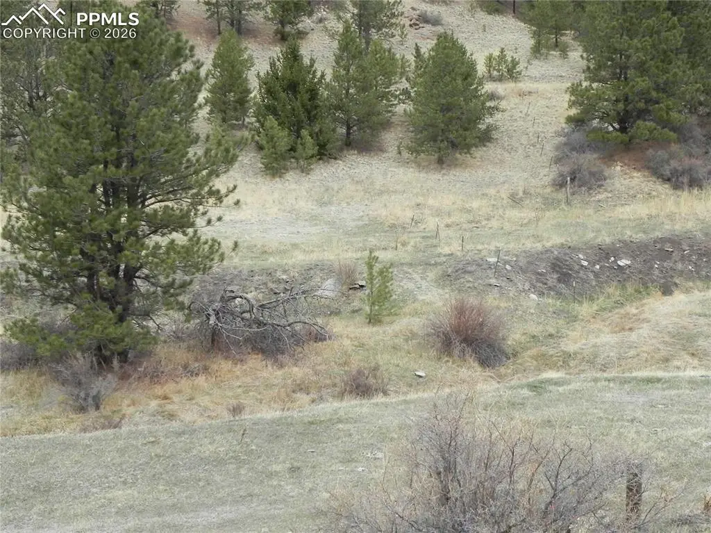 521 Monarch Drive, Cripple Creek, CO 80813 - #1