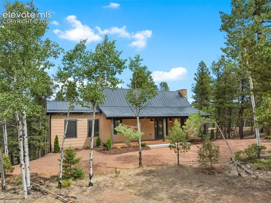 15 Juniper Circle, Florissant, CO 80816 - #3
