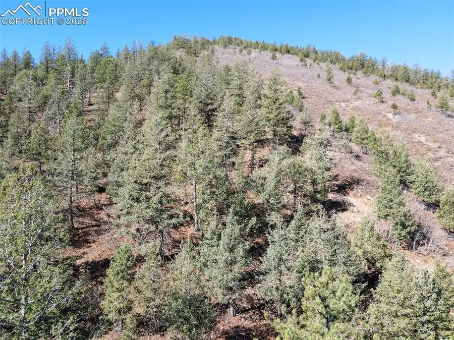 1296 Mica Lane, Colorado Springs, CO 80906 - #3